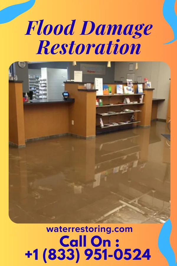 Flood Damage Restoration in Oak Hills Place, LA