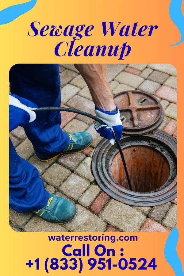 Sewage Water Cleanup in Oak Hills Place, LA