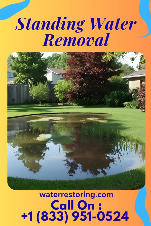 Standing Water Removal in Oak Hills Place, LA
